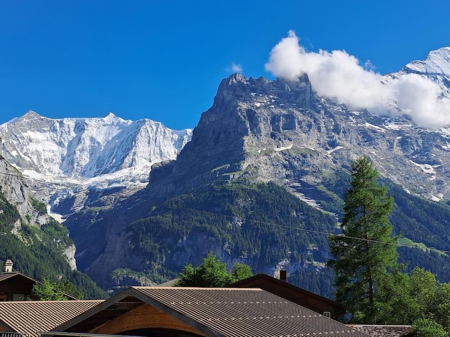 Chalet Engi Apt 1 For Up To 8 People Grindelwald Kültér fotó