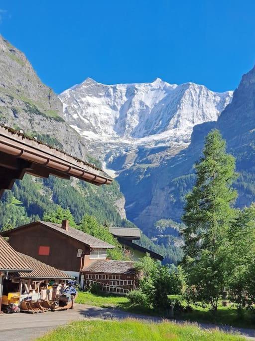 Chalet Engi Apt 1 For Up To 8 People Grindelwald Kültér fotó