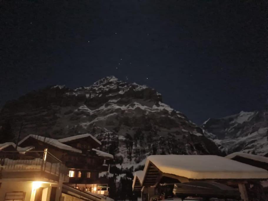 Chalet Engi Apt 1 For Up To 8 People Grindelwald Kültér fotó