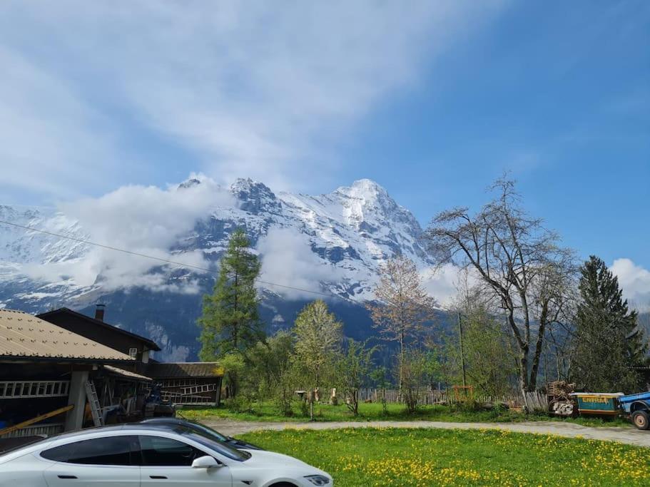 Chalet Engi Apt 1 For Up To 8 People Grindelwald Kültér fotó