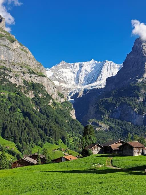 Chalet Engi Apt 1 For Up To 8 People Grindelwald Kültér fotó